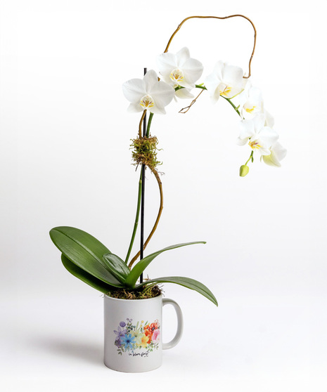 Serene Signature Floral Mug