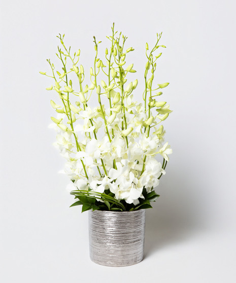 This arrangement includes stunning dendrobium orchids in a vase with exotic greenery.