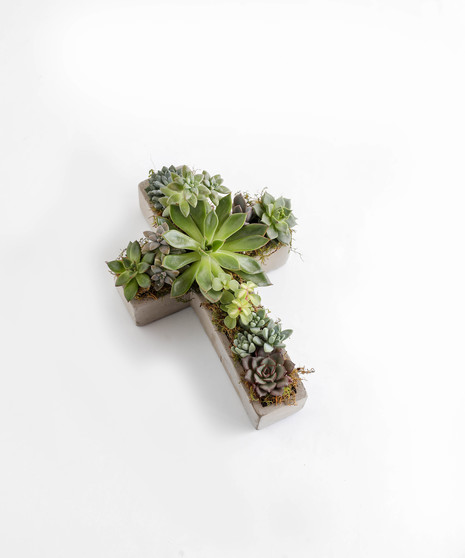 Sympathy Succulents | In Bloom Florist | Orlando, FL | Same-Day Delivery