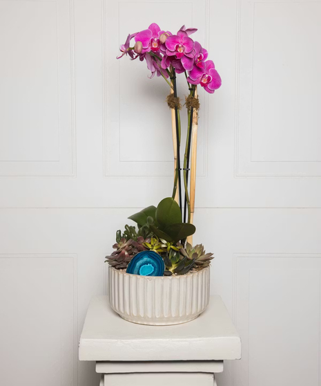 Lavender & Jewels features a rich palette of purple blooms, exuding grace and beauty, presented in a chic purple vase.