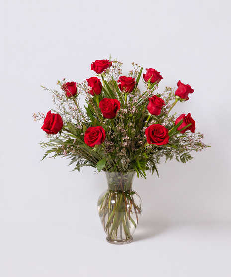 Red Ultimate - 1 Dozen Red Roses