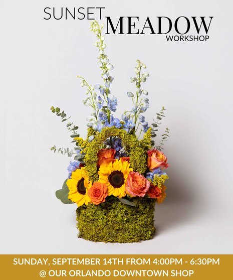 Sunset Meadow - Orlando Design Workshop - September 14th