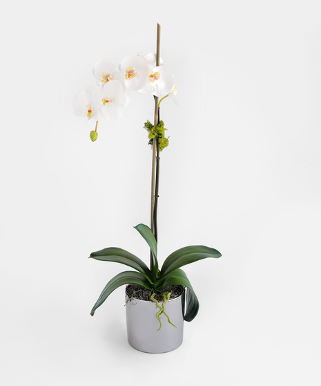 These handcrafted silk orchids are designed to be enjoyed as a forever gift or decor piece in the home. These orchids are comprised of 100% silk floral and greenery. 