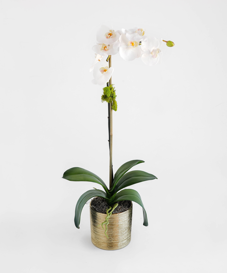 These handcrafted silk orchids are designed to be enjoyed as a forever gift or decor piece in the home. These orchids are comprised of 100% silk floral and greenery. 