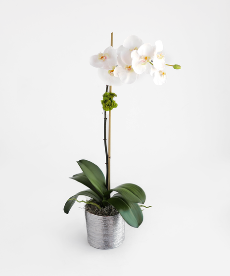 These handcrafted silk orchids are designed to be enjoyed as a forever gift or decor piece in the home. These orchids are comprised of 100% silk floral and greenery. 