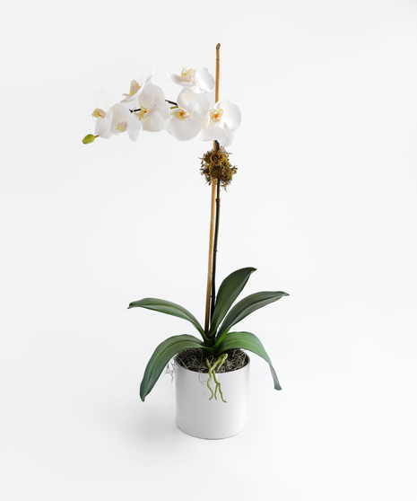 These handcrafted silk orchids are designed to be enjoyed as a forever gift or decor piece in the home. These orchids are comprised of 100% silk floral and greenery. 