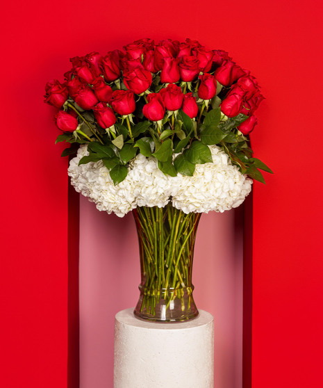 75 luxury long stem beautiful rose blooms