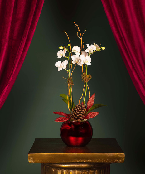 The Scarlet Orchid - Standard