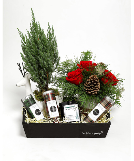 Tidings of Tea Box