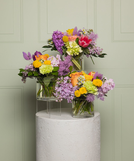Bloom Bash Trio