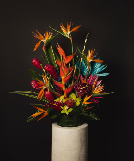 A large tropical arrangement of birds of paradise, white cymbidium orchids, and king protea designed in an elegant low black ceramic bowl