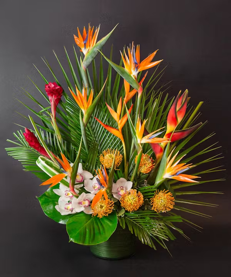 Tropical Luxe